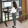 2-Tier Standing Desk Sit To Stand Workstation Ergonomic Computer Table Brown