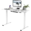 FLEXISPOT Electric Height Adjustable Standing Desk Sit Stand Desk Adjustable Desk Stand Up Desk-(White Frame+ 120x60cm White Top)