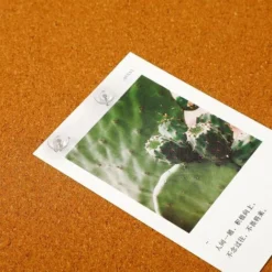 Clear Push Pins Small Plastic Thumb Tacks Steel Point And Clear Plastic Head Pushpins Transparent Paper Push Pins For Cork Board50 9 Clear Push Pins Small Plastic Thumb Tacks Steel Point And Clear Plastic Head Pushpins Transparent Paper Push Pins For Cork Board50 -Office Furniture Store 69588281 5