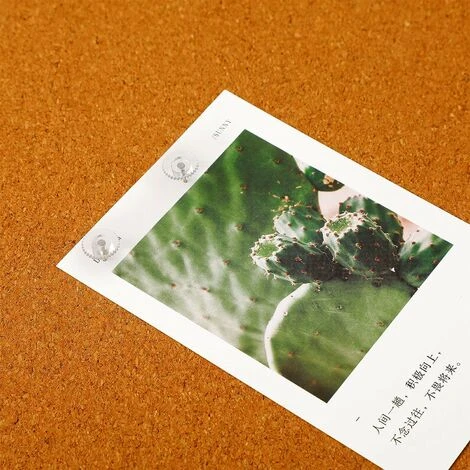 Clear Push Pins Small Plastic Thumb Tacks Steel Point And Clear Plastic Head Pushpins Transparent Paper Push Pins For Cork Board50 5 Clear Push Pins Small Plastic Thumb Tacks Steel Point And Clear Plastic Head Pushpins Transparent Paper Push Pins For Cork Board50 - Image 5